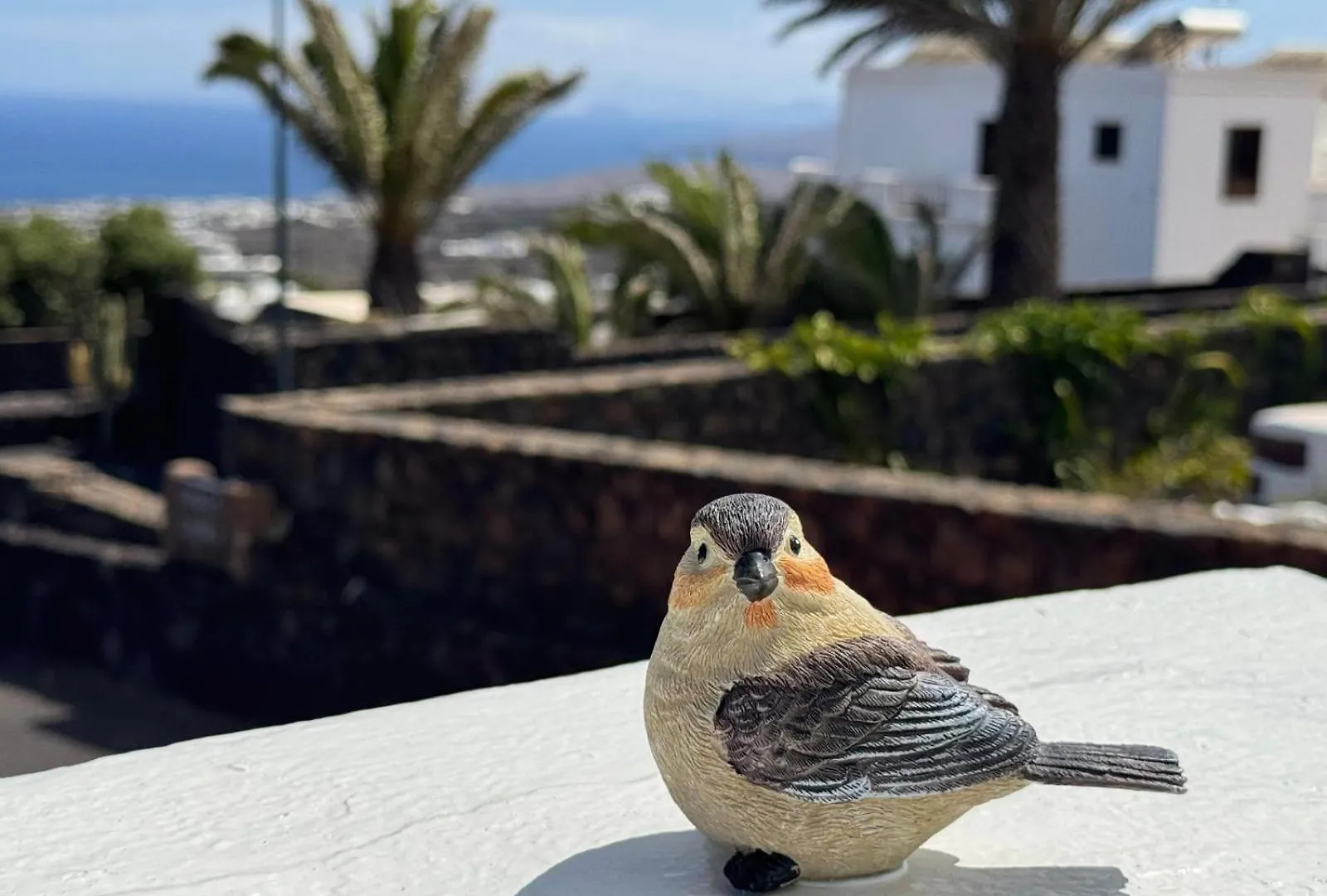 La Asomada  Casa Layka, Con Maravillosas Vistas Al Mar דירה