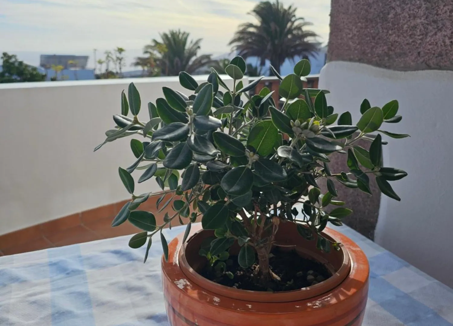 Apartmán Casa Layka, Con Maravillosas Vistas Al Mar La Asomada  Španělsko